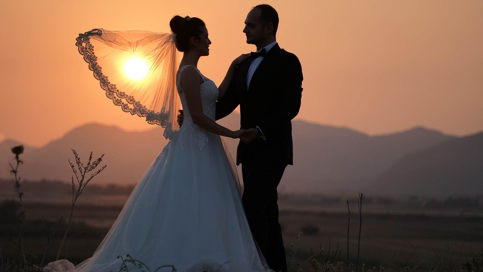 Wedding Transportation